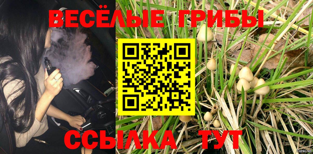 Псилоцибиновые грибы Psilocybine cubensis  Вход с VPN  Галлюциногенные грибы ЛСД  Тольятти 